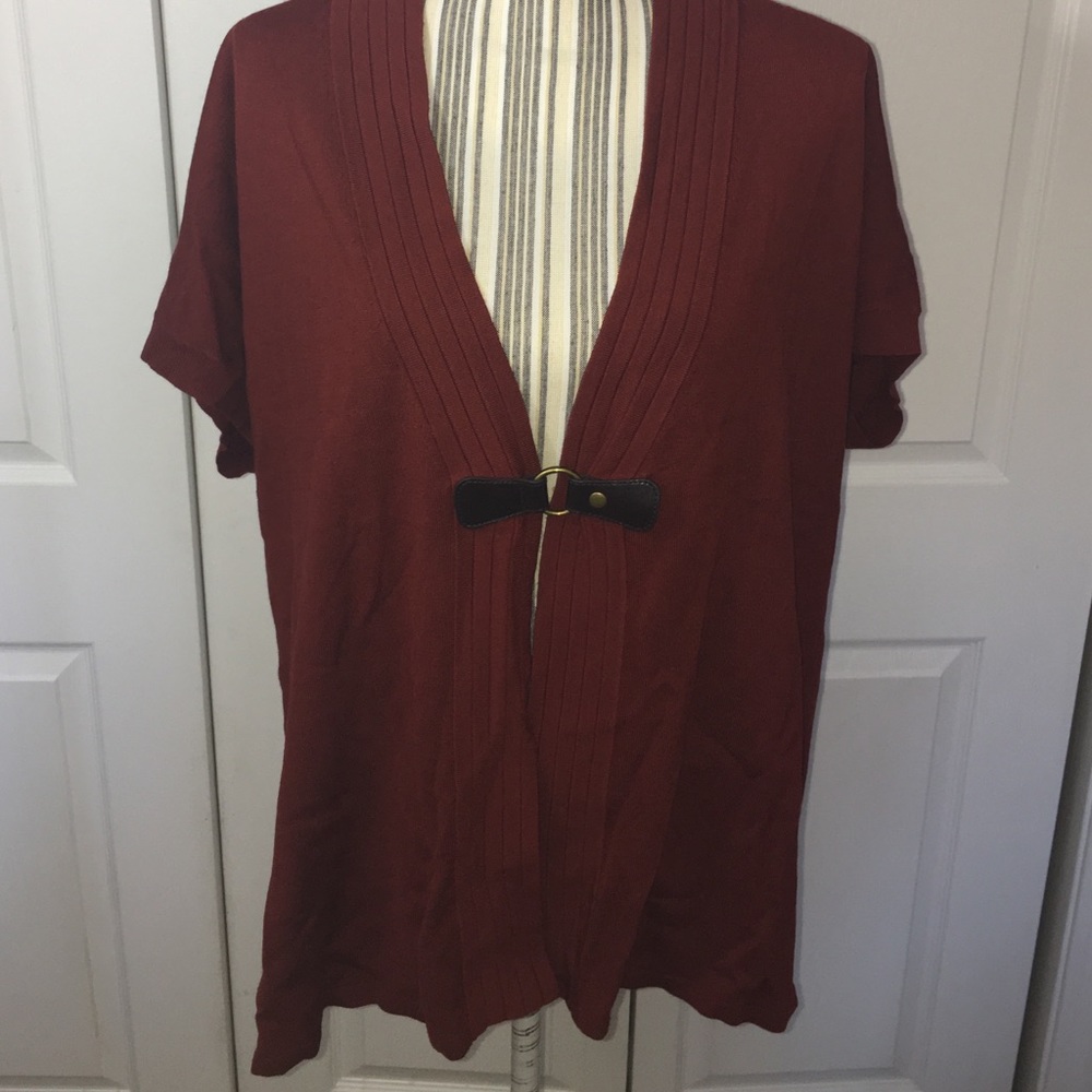 •Dressbarn Plus Size Explorer