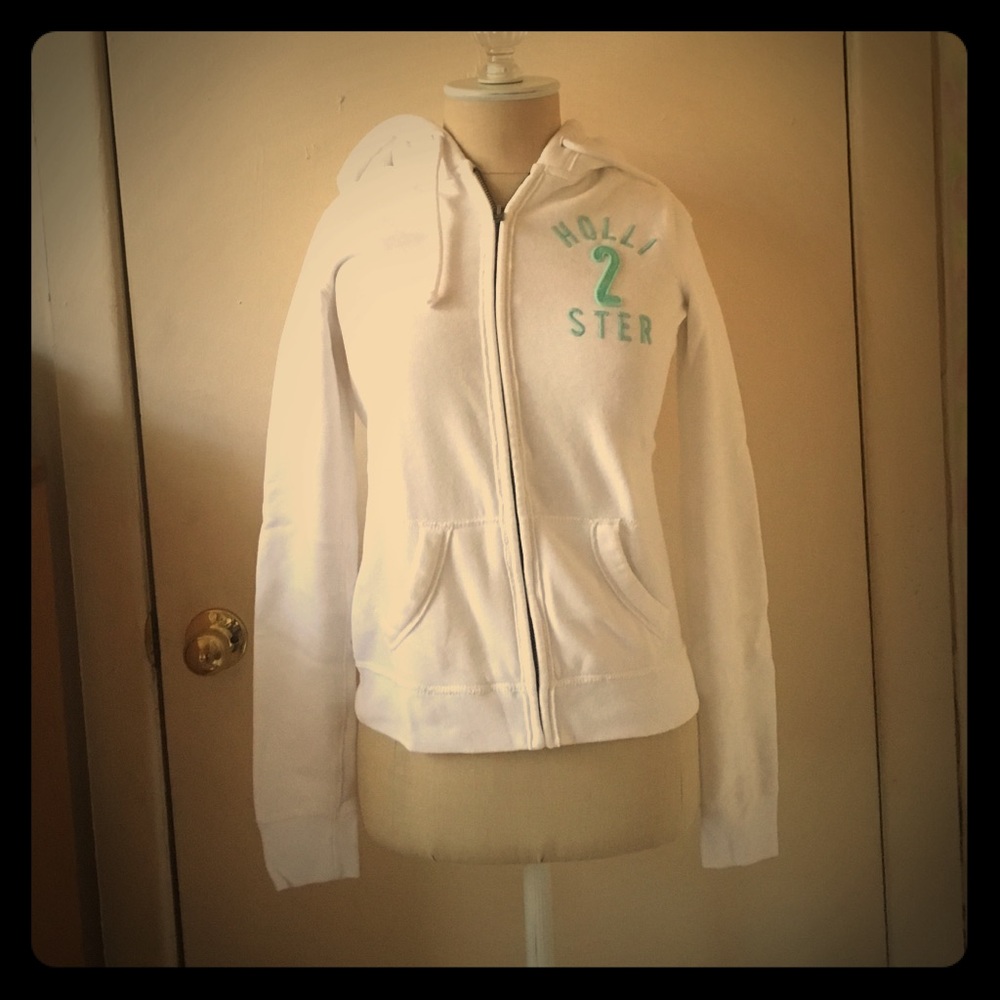 Hollister sweater. Comes from a cat &dog household