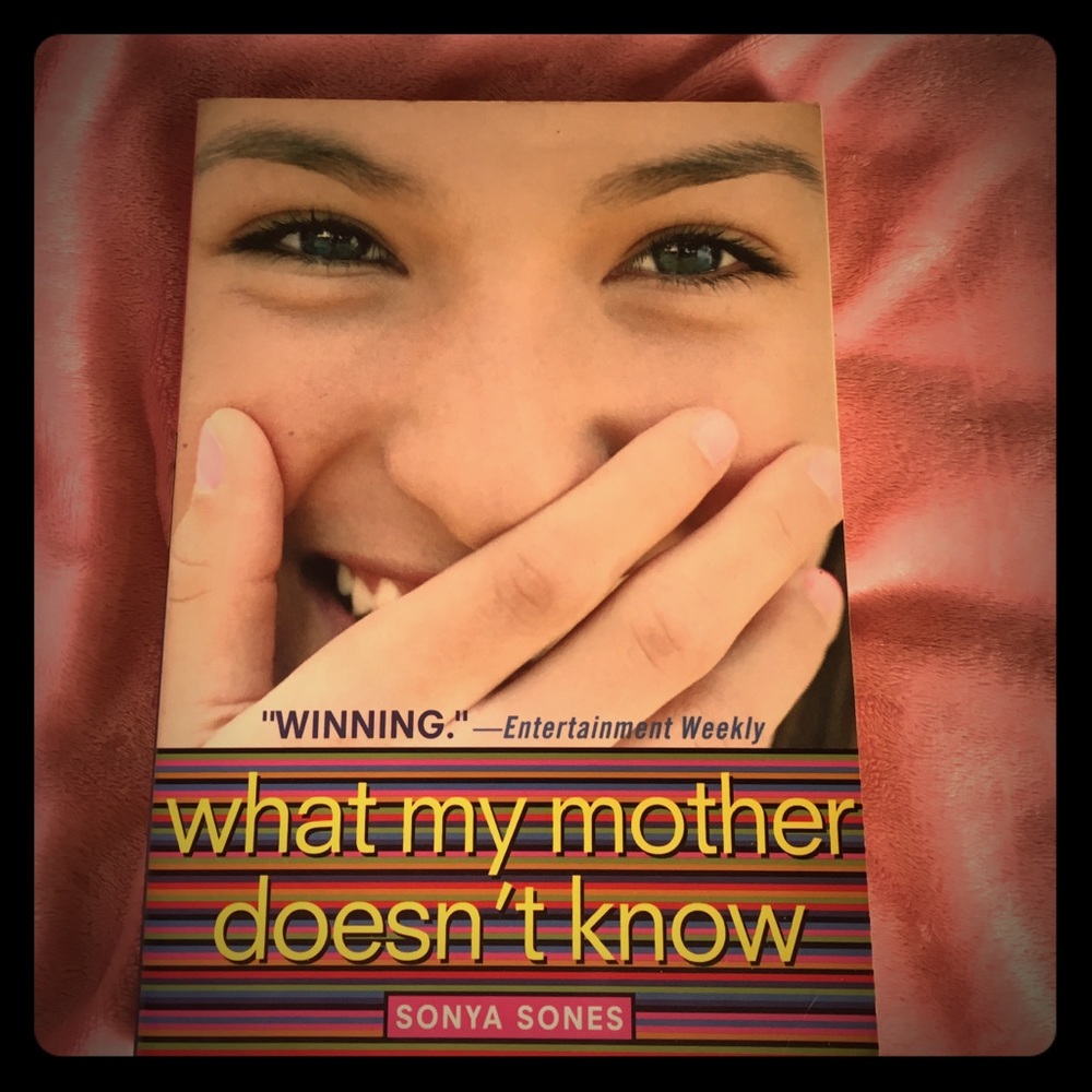 What my mother doesn't know book