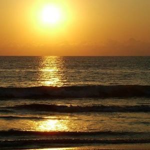 Meet your Posher, Nasayi