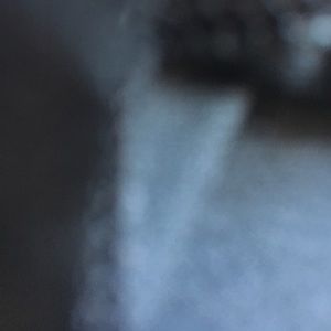 Meet your Posher, Jack