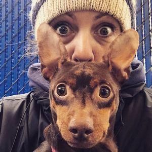 Meet your Posher, Molly