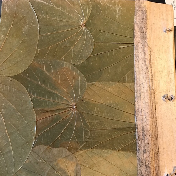 Photo Album - Picture 3 of 3