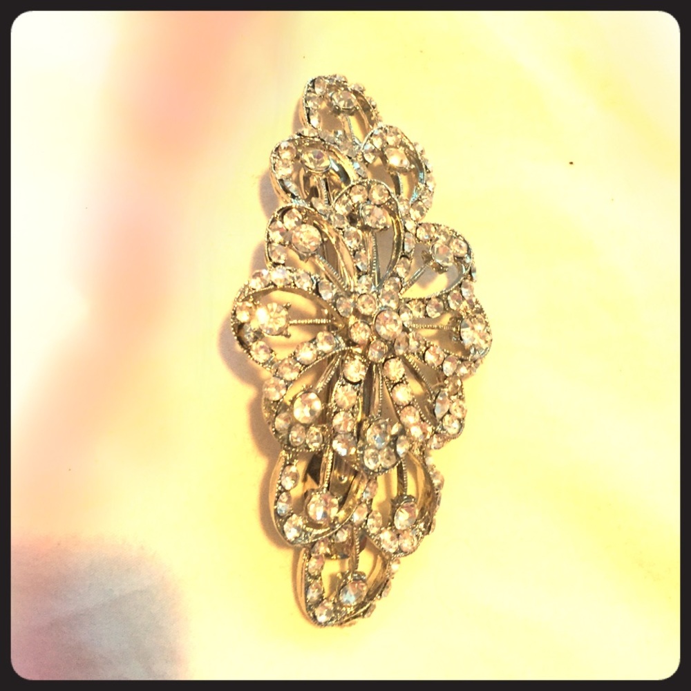 Beautiful hair clip accessory