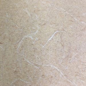 Meet your Posher, Charlene