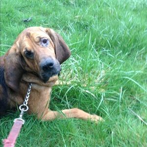 Meet your Posher, Donna