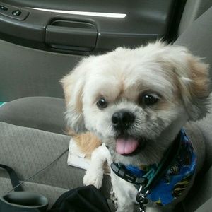 Meet your Posher, Barbara