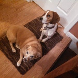 Meet your Posher, Terri