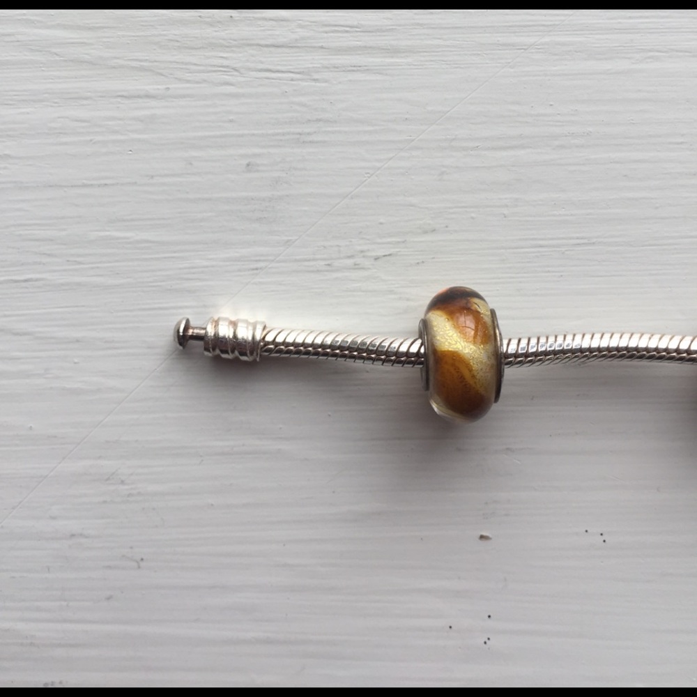 🌿NEW Chamilia bead