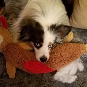 Meet your Posher, Tamara