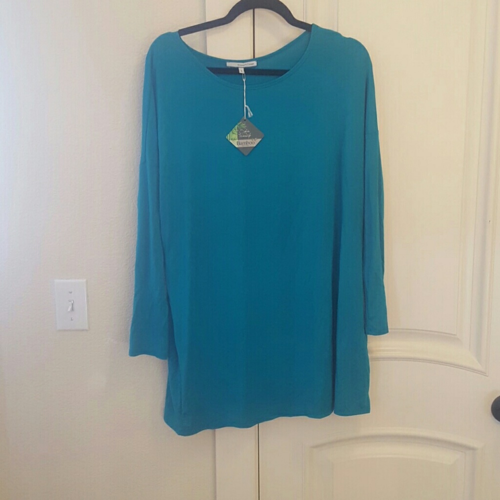 Beautiful teal tunic