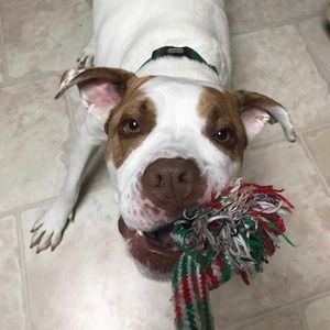 Meet your Posher, Felipe