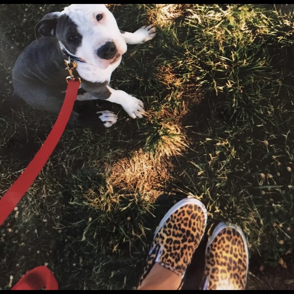 Meet your posher! - Picture 3 of 3