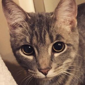 Meet your Posher, Molly