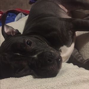 Meet your Posher, Jackie