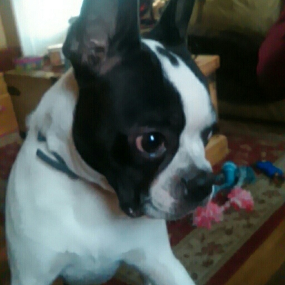 Meet your Posher, Skyler