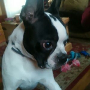 Meet your Posher, Skyler