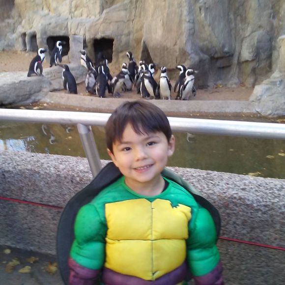 Meet your Posher, Leo - Picture 1 of 1