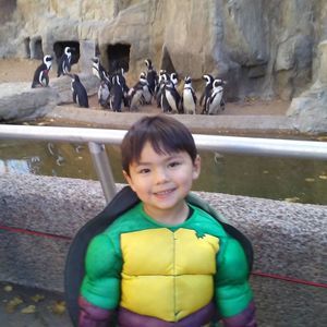 Meet your Posher, Leo