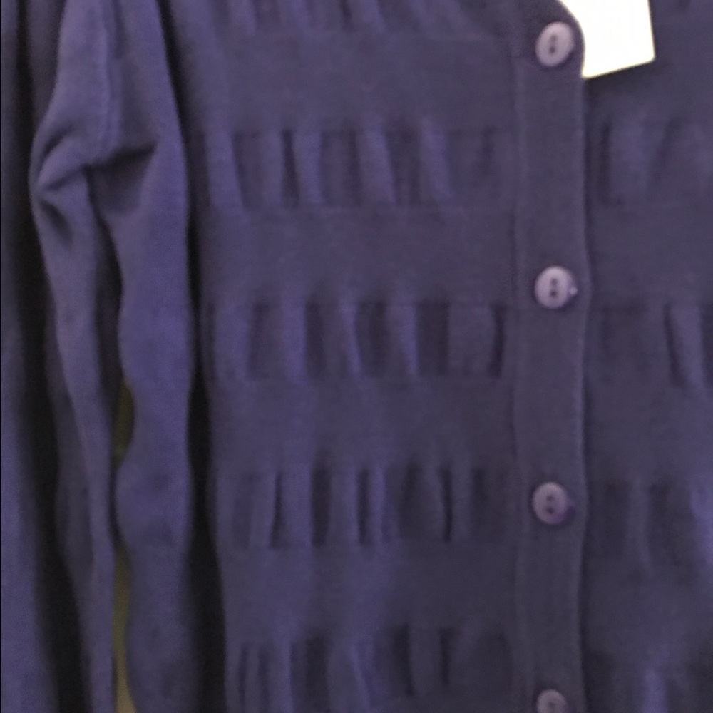 ๐๐COBALT BUTTON DOWN SWEATER, V NECK - Picture 4 of 5