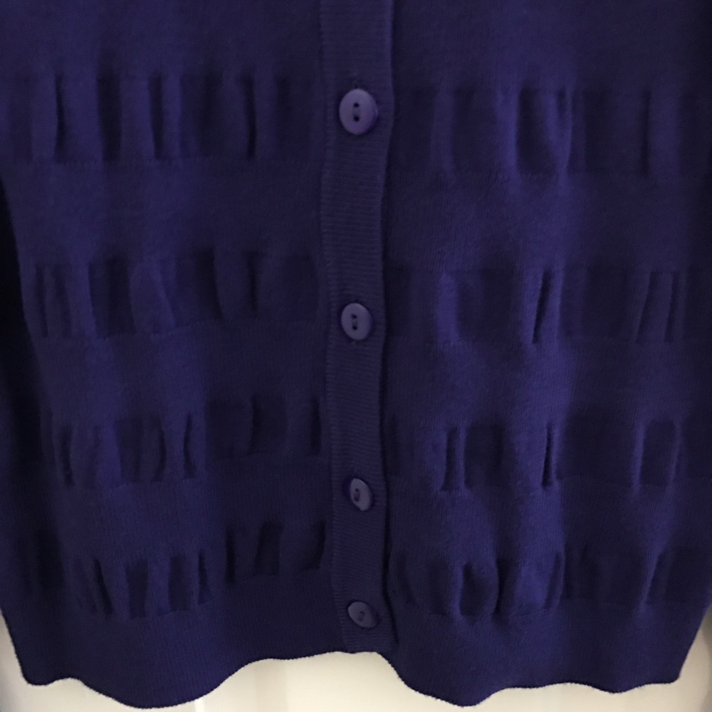 ๐๐COBALT BUTTON DOWN SWEATER, V NECK - Picture 5 of 5