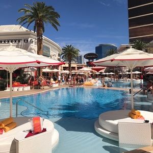 Meet your Posher, Sean