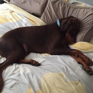 Meet your Posher, Katrina