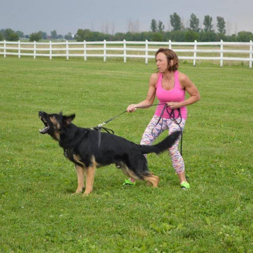 Meet your Posher, Stacey