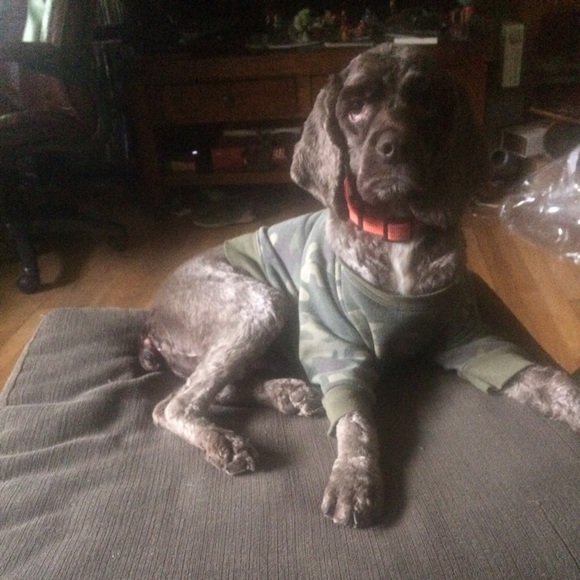 My furbabies - Picture 3 of 8