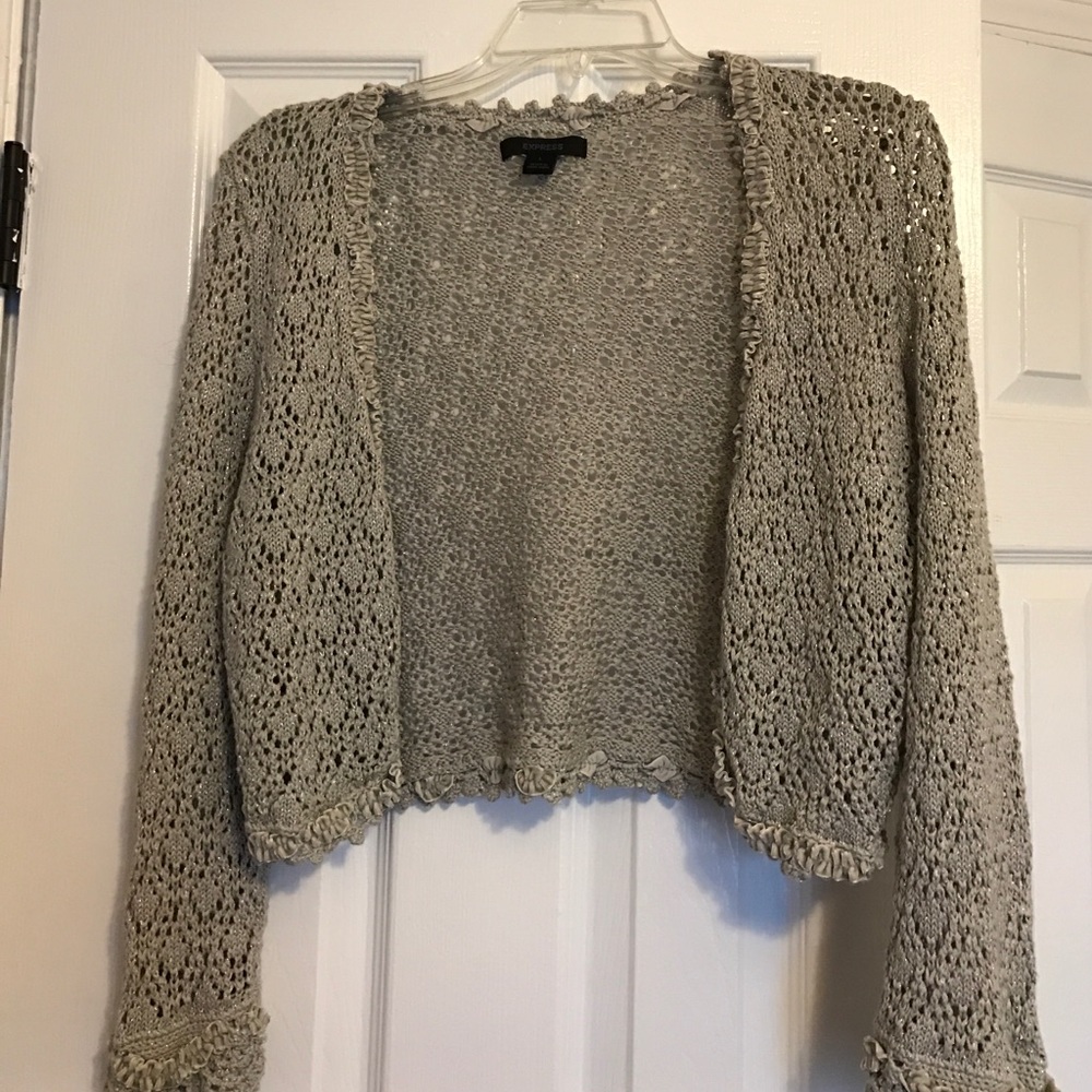 Women's Silver Sparkle Grey Crop Sweater