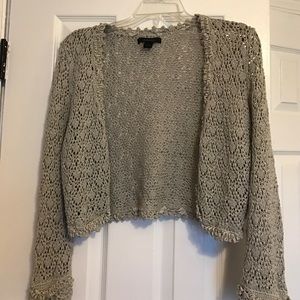 Women's Silver Sparkle Grey Crop Sweater
