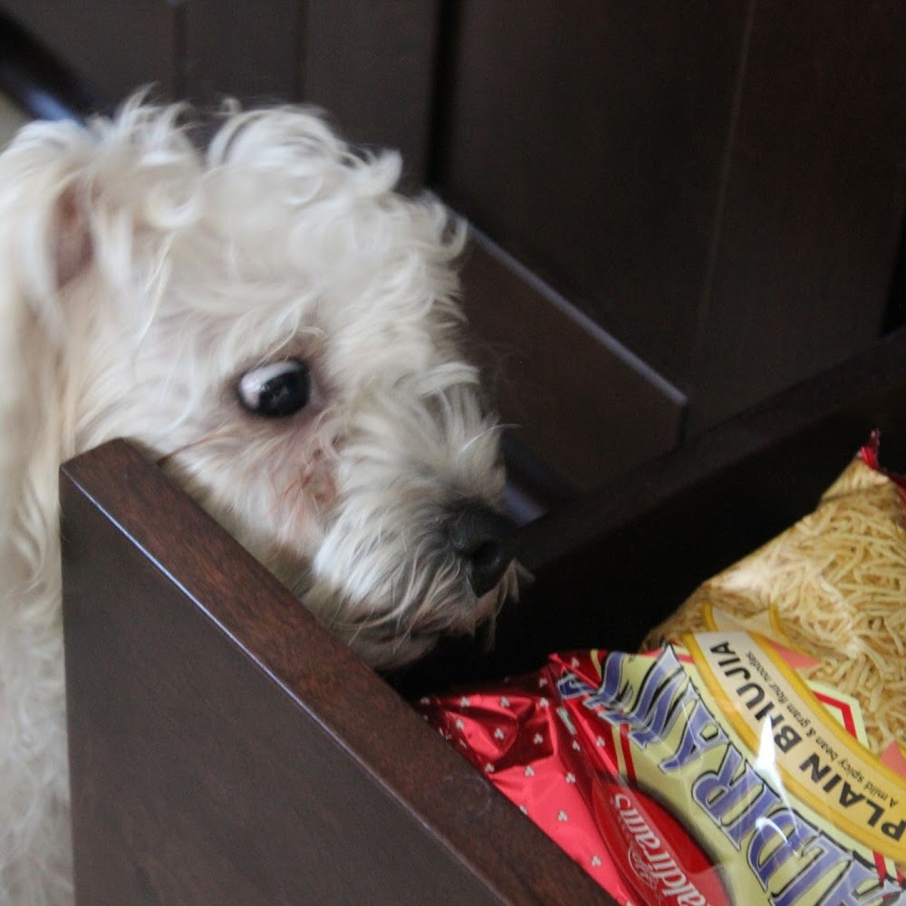 Meet your Posher, Maya