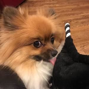 Meet your Posher, Jean