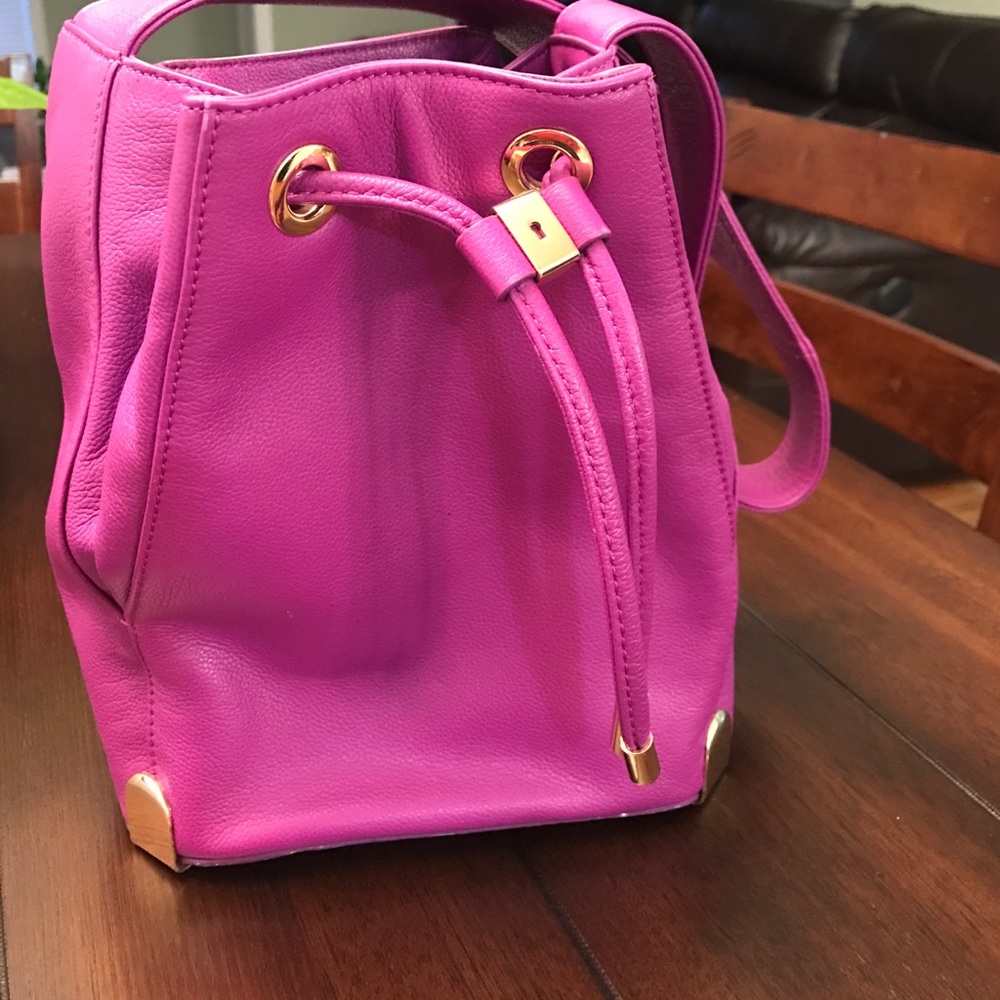 Vince Camuto Purse