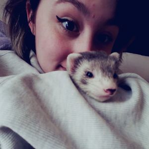 Meet your Posher, Erica