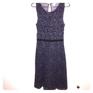 SALE 🇺🇸Anthropologie dark blue polka dot dress