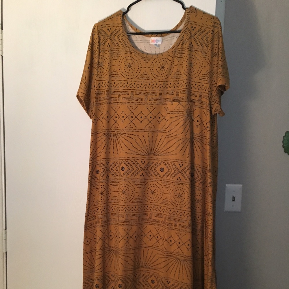 2x Lularoe Carly - worn a couple times, like new!