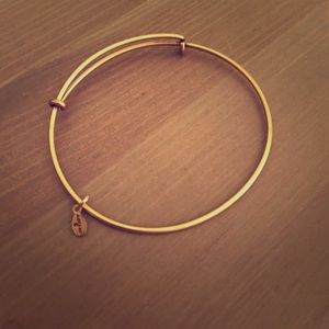Alex & Ani plain gold bangle