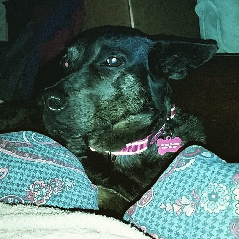 Meet your Posher, Jennifer