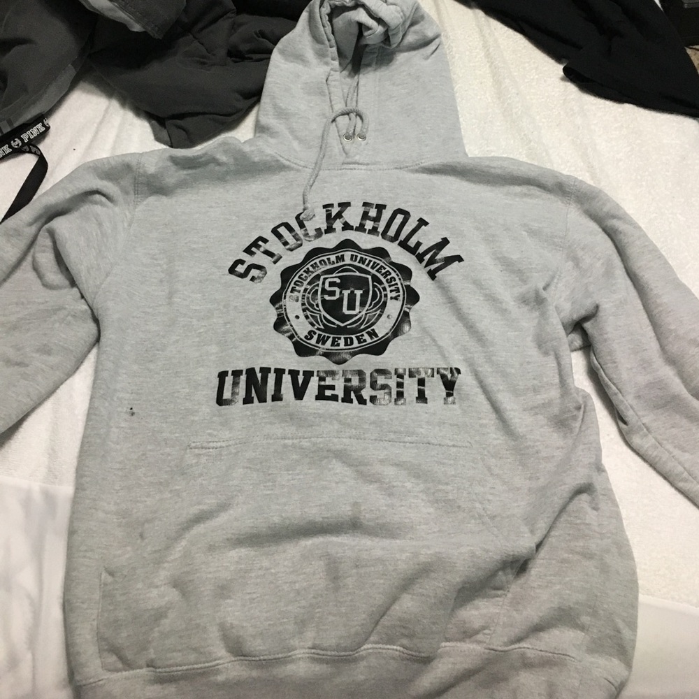 Grey Sweden College hoodie.