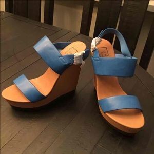 Blue Wedges