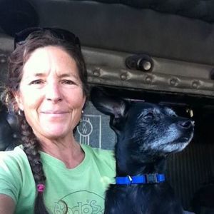 Meet your Posher, Barbara