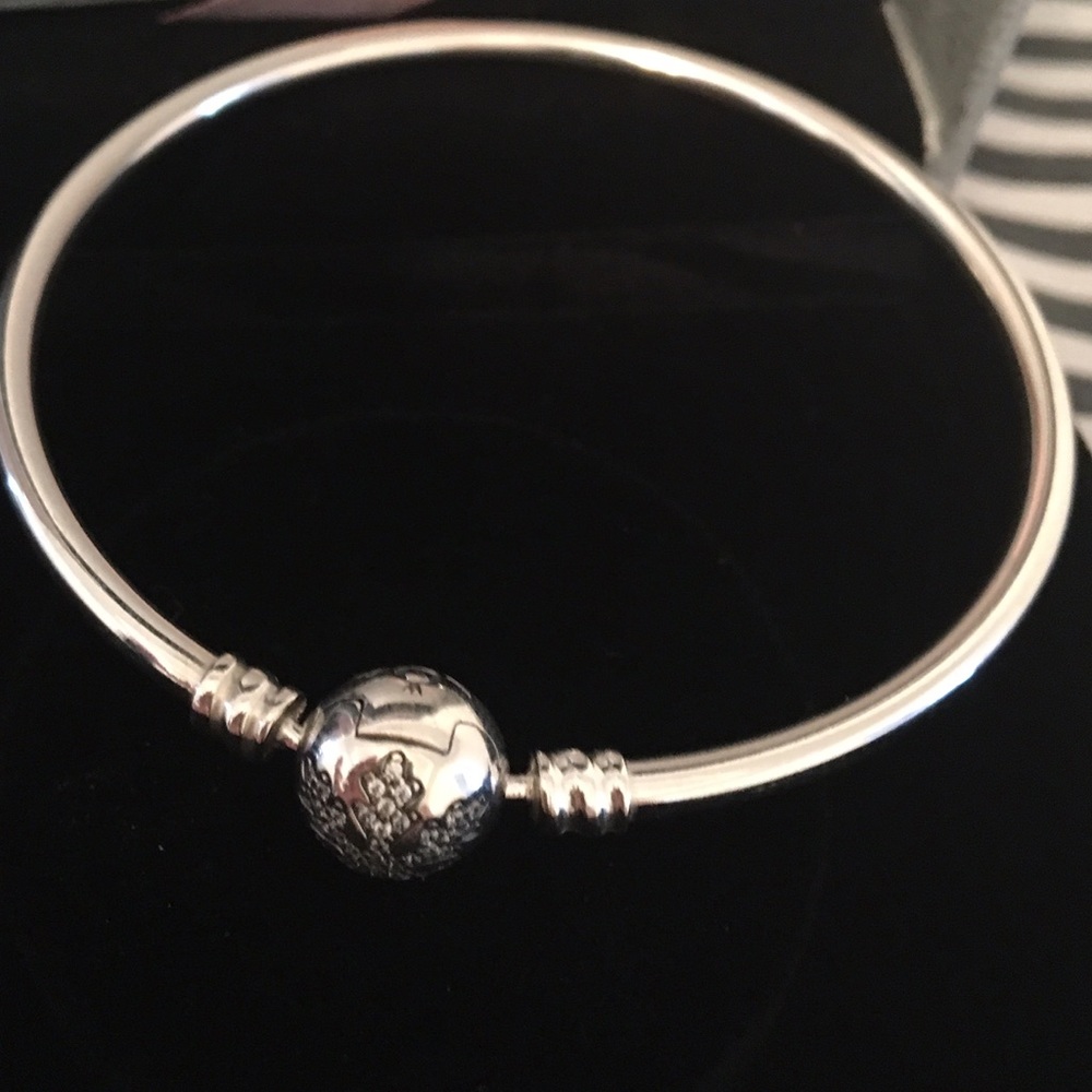 Pandora bracelet (no box)