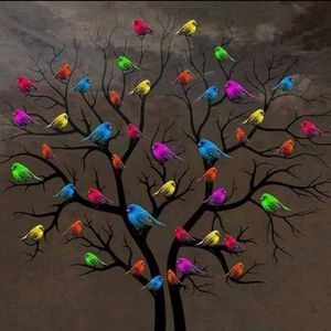 Meet your Posher, Cathy