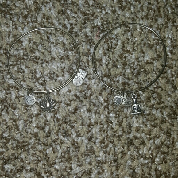 8 AUTHENTIC ALEX AND ANI BRACELETS - Picture 4 of 4