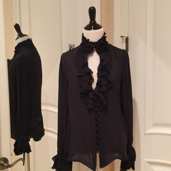 Zara Sheer Navy Top with Ruffles - Picture 1 of 4