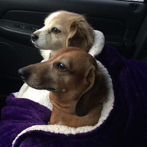 Meet your Posher, Angela