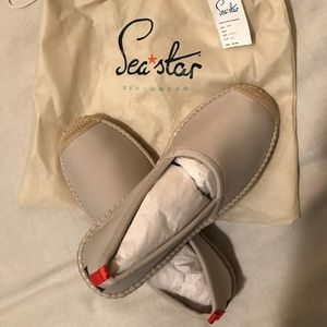 sea star beachcomber