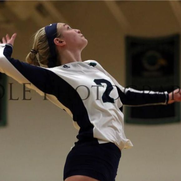 Meet your Posher, Remi - Picture 1 of 1