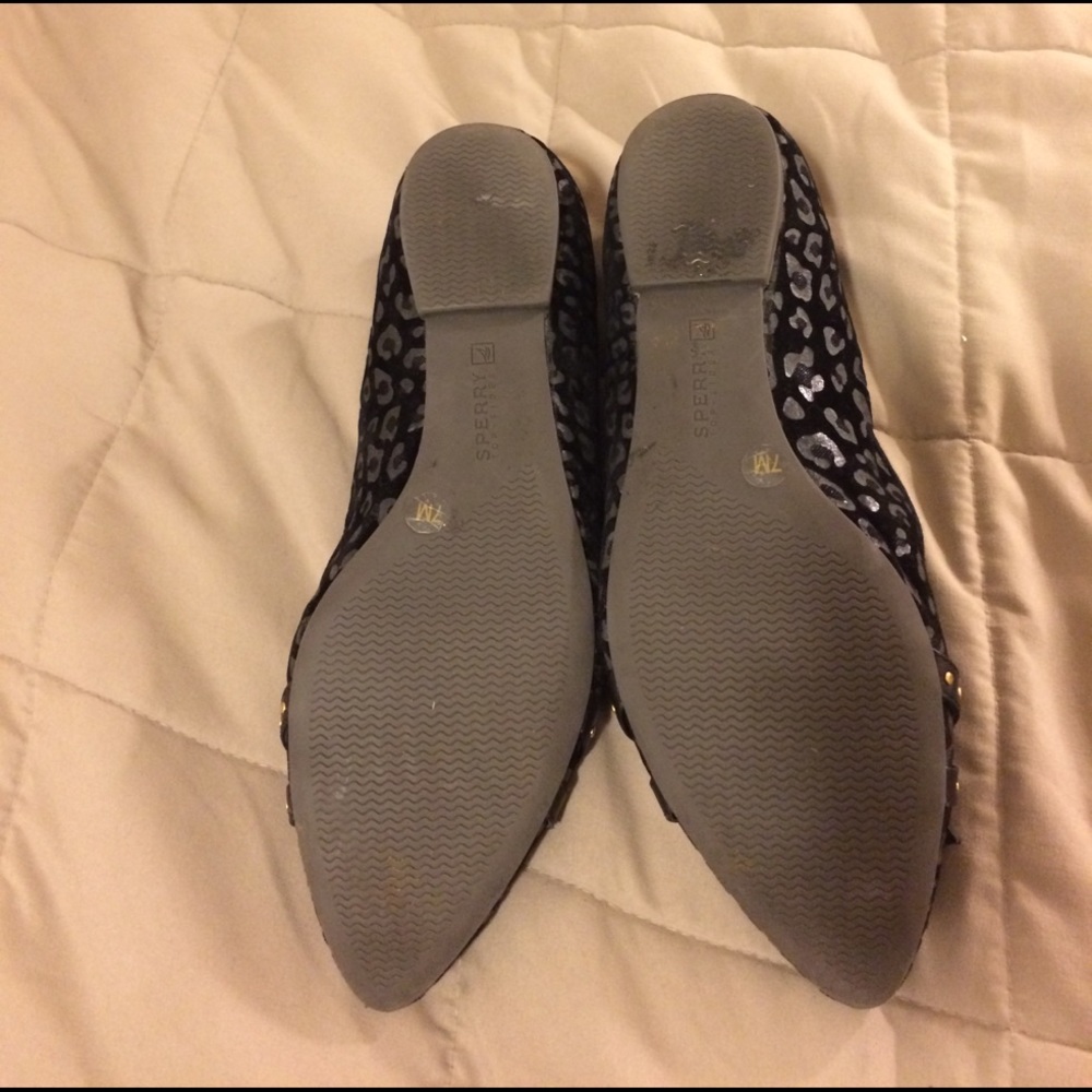 Sperry Flats - Picture 3 of 3